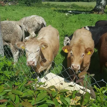 Tulla Self Catering Apartman Riverstown