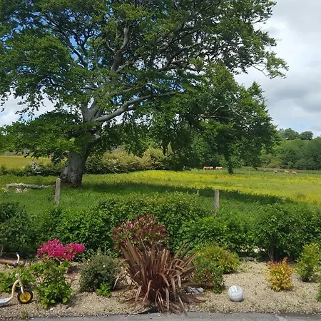 Apartment Tulla Self Catering *